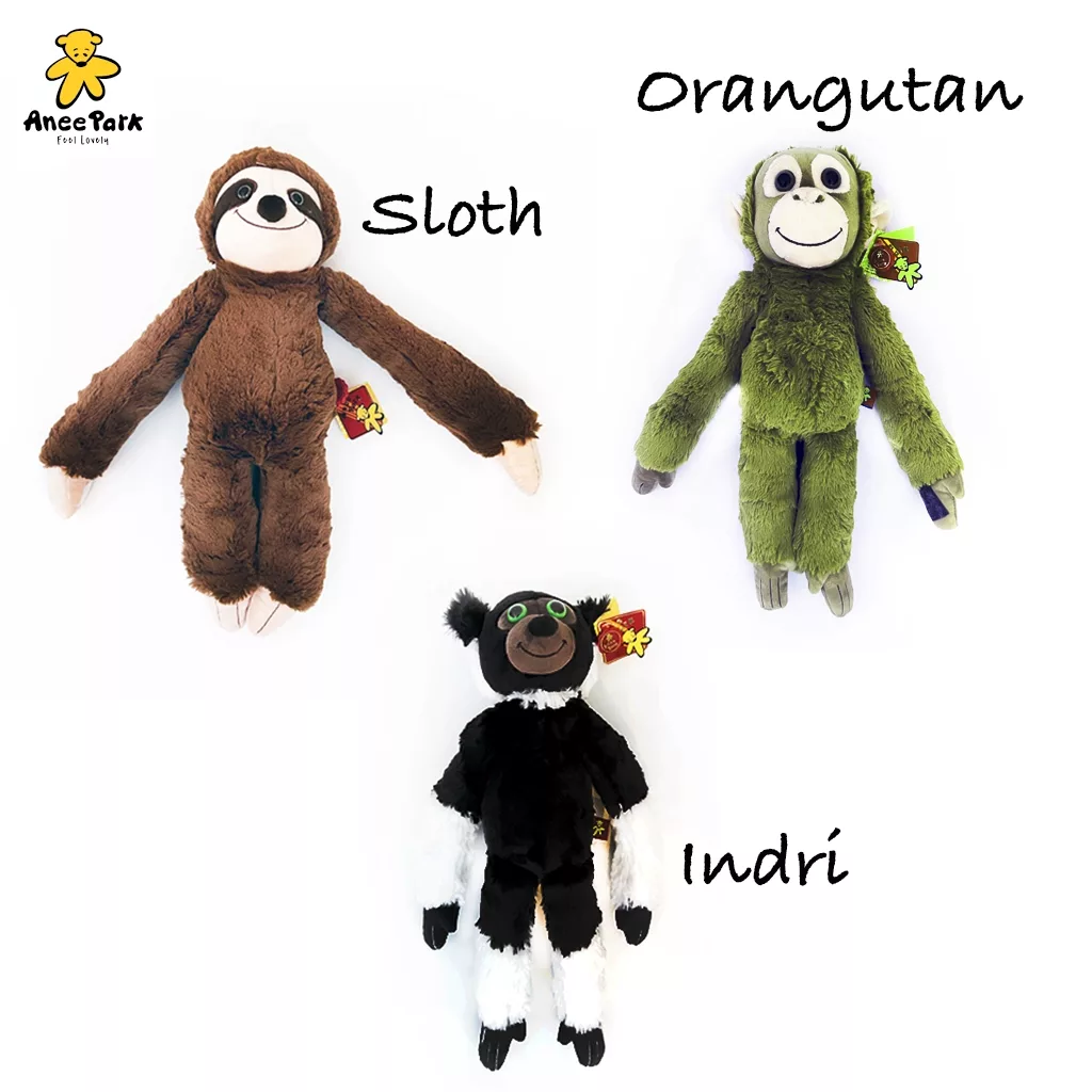 Sloth Orangutan Indri